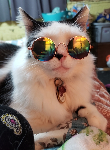 Kit