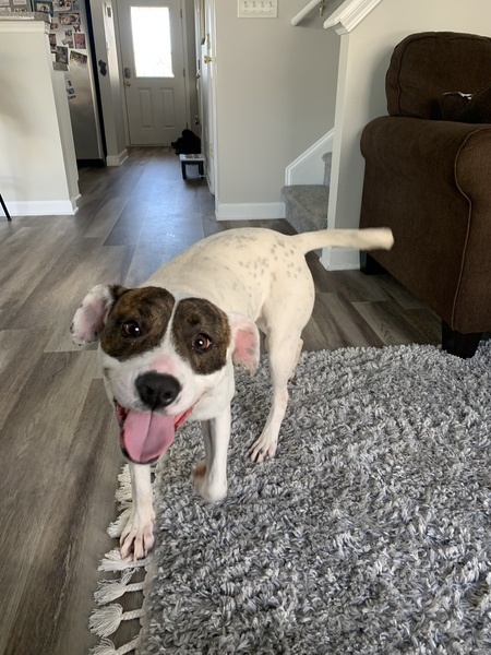 Rosie