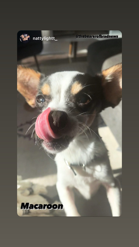 Mac 
