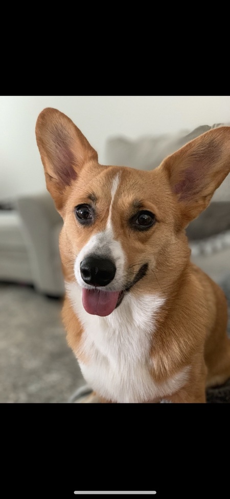 Finley 