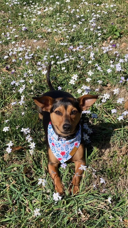 Zoey