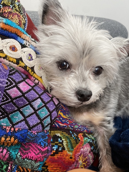 Millie