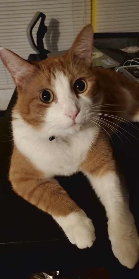 Astro