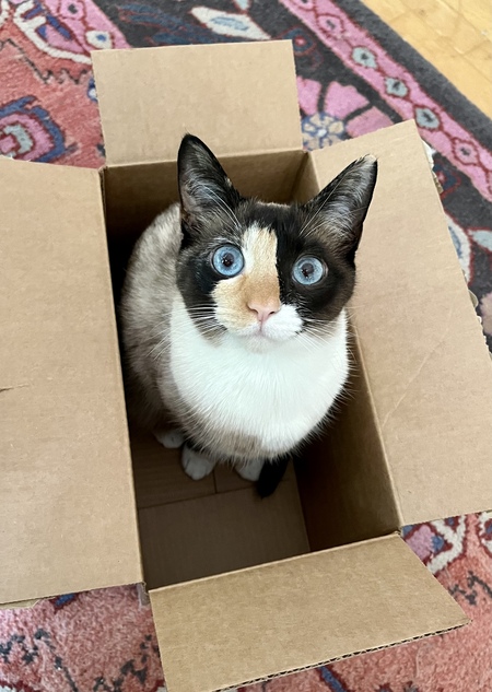 Gwendolyn Zelda Tucker
