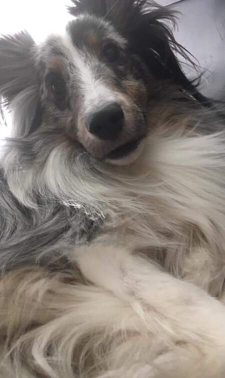Greyson