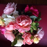 Entry image for Pretty posey