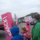 Entry image for Save the pink schnack 