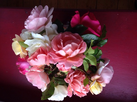 Entry image for Pretty posey. Clicking this image will show a larger photo