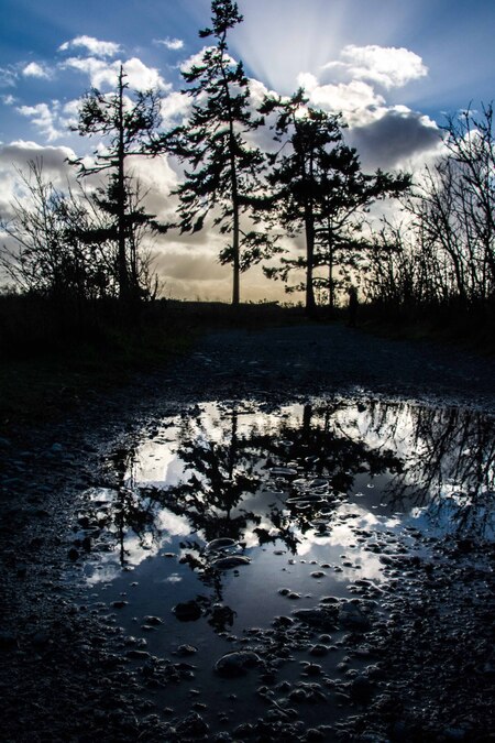 Reflections of Whiffin Spit