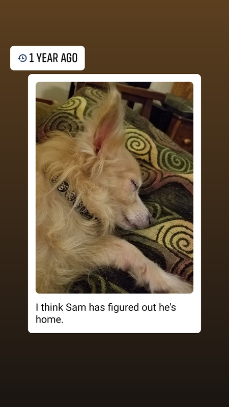 Sam