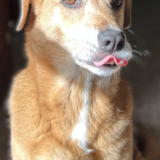 Entry image for Grady