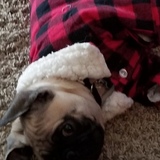 Entry image for Stubby 