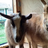 Entry image for Phil and Rick