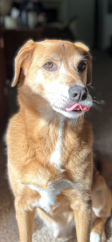 Entry image for Grady. Clicking this image will show a larger photo