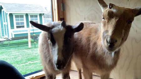 Entry image for Phil and Rick. Clicking this image will show a larger photo