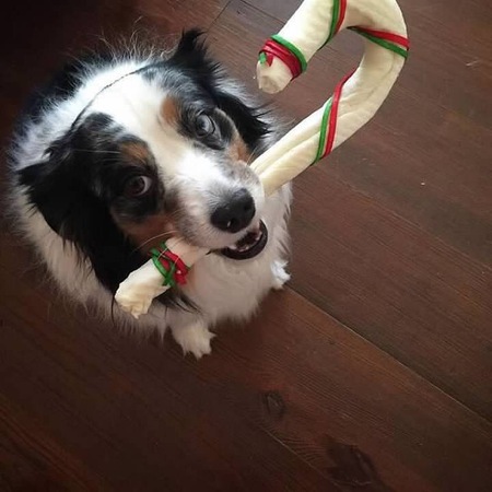 Oakley