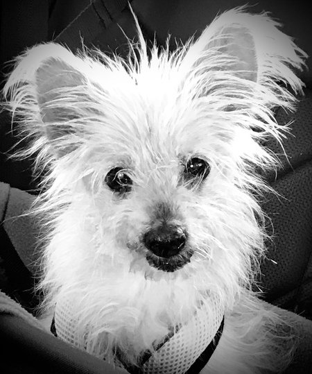 Charlie 