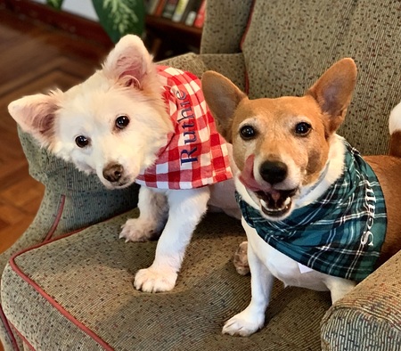 Ruthie & Seamus