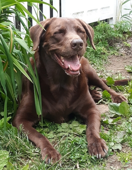 Maggie