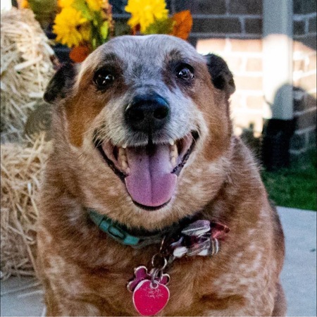 Miss Sadie