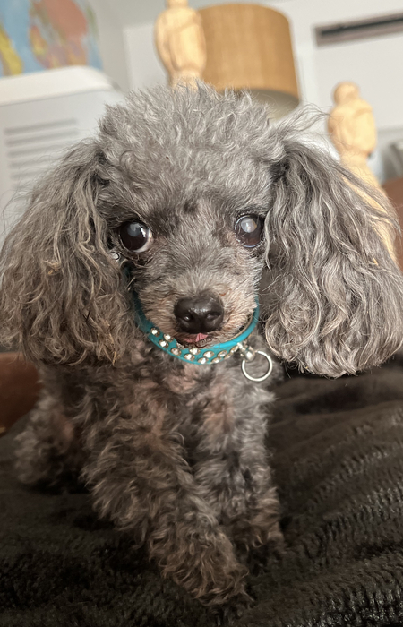 Farrah