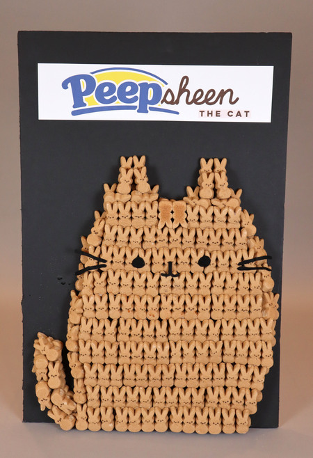 Peepsheen the Cat