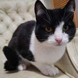 Entry image for Winnie