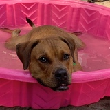 Entry image for Hobbs