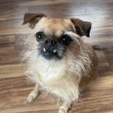 Entry image for Hilda 