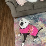 Entry image for Betty