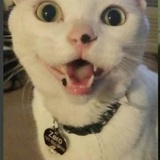 Entry image for Zero