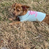 Entry image for Echo