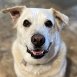 Entry image for Jasper