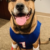 Entry image for Athena