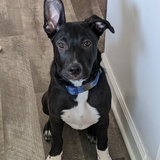 Entry image for Miles