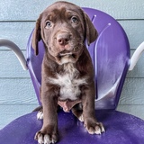 Entry image for Leaf 