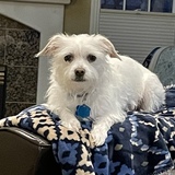 Entry image for Tyson