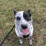 Entry image for Quentin