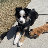 Entry image for Ellie