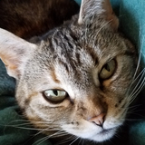 Entry image for Little Bit