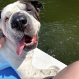 Entry image for Joan 