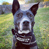 Entry image for Kali