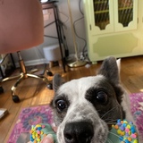 Entry image for Twyla