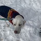 Entry image for Leeloo