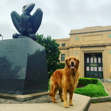 Entry image for Clementine 