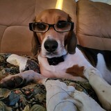 Entry image for Pico