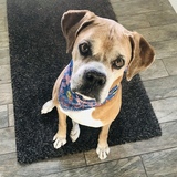 Entry image for Denny