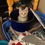 Entry image for Raymond