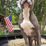 Entry image for Joshua James Miller