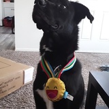 Entry image for Donny